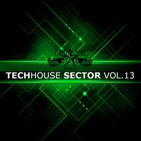 Techhouse Sector, Vol. 13