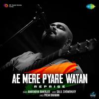 Ae Mere Pyare Watan - Reprise