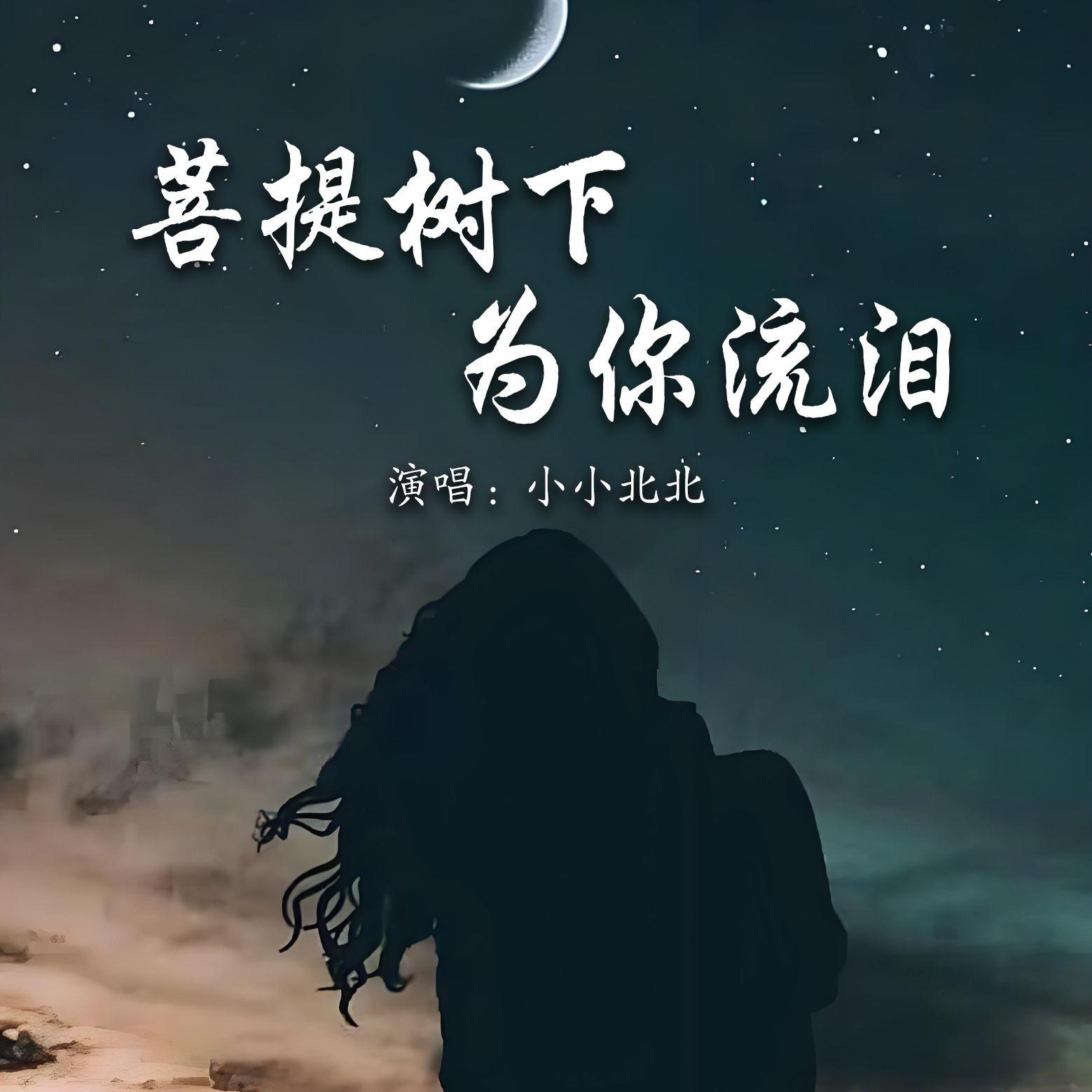 菩提树下为你流泪封面