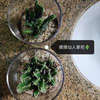 震惊！嫂嫂的好大儿居然被...