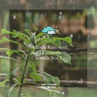 Medium Rain onset and Thunderstorm Sounds, Vol. 1