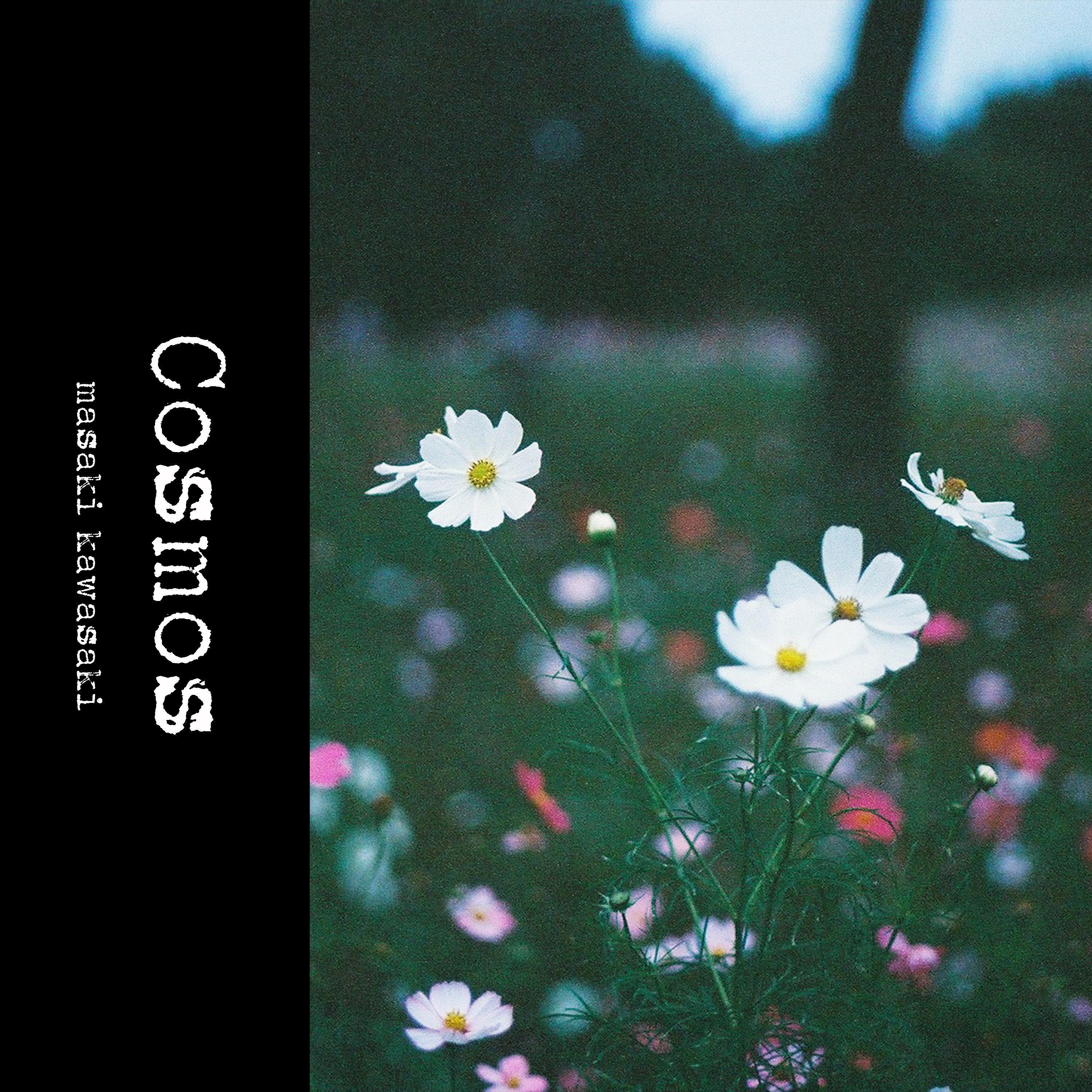 Cosmos_masaki kawasaki_Cosmos | 在线播放_Cosmos歌词_Cosmos下载 | 网易云音乐