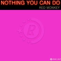 Nothing You Can Do (House Version)