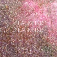 Blackbird Blackbird资料,Blackbird Blackbird最新歌曲,Blackbird BlackbirdMV视频,Blackbird Blackbird音乐专辑,Blackbird Blackbird好听的歌