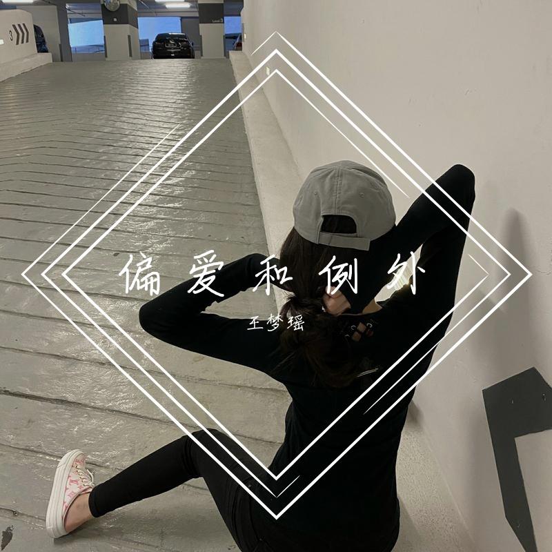 偏爱和例外封面