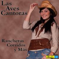 Rancheras, Corridos y Más