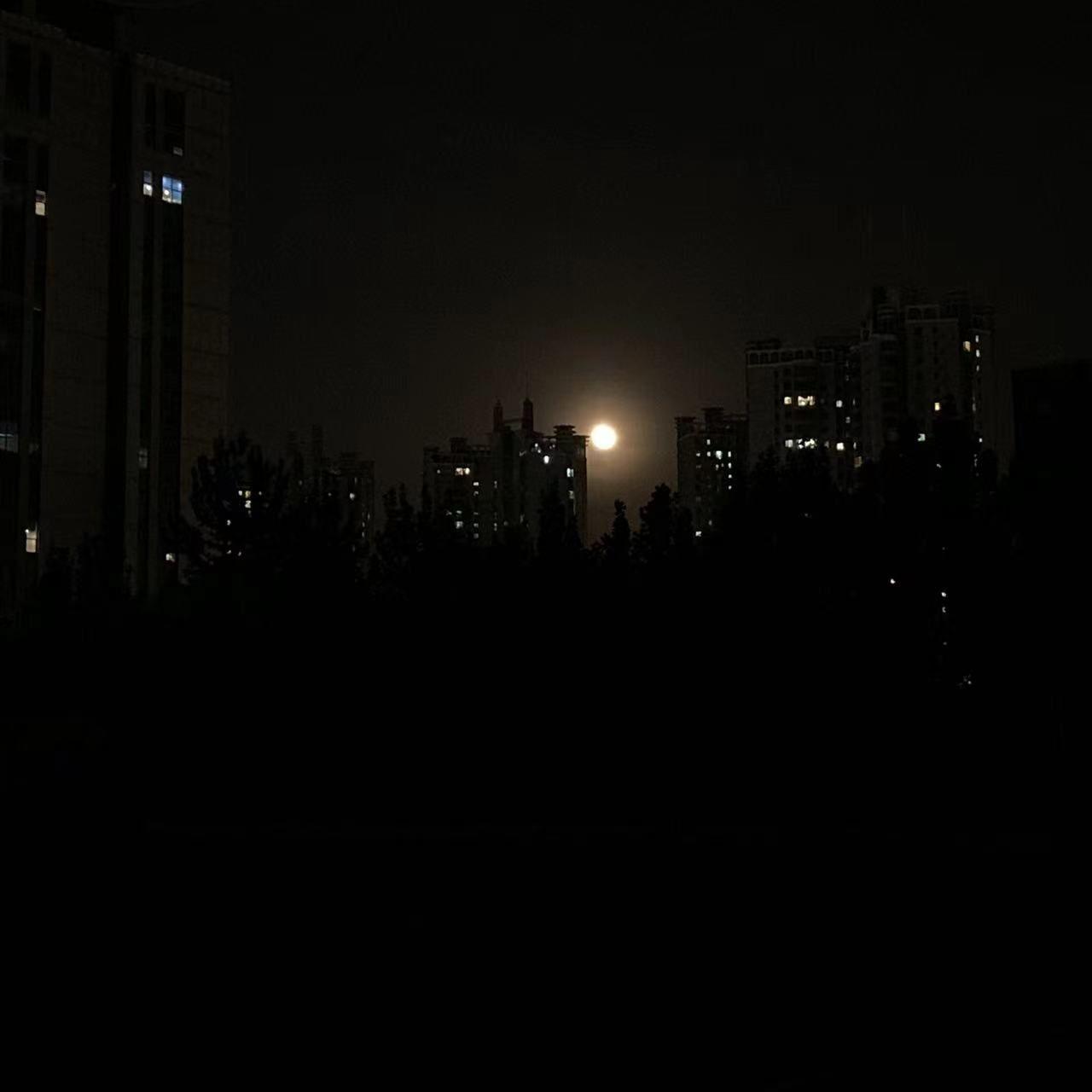 秦皇岛（cover：万能青年旅馆）封面