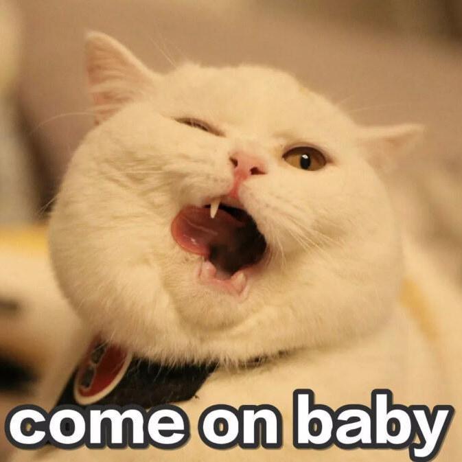 99.9（翻自 MOB CHOIR / sajou no hana）