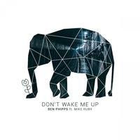 Don't Wake Me Up