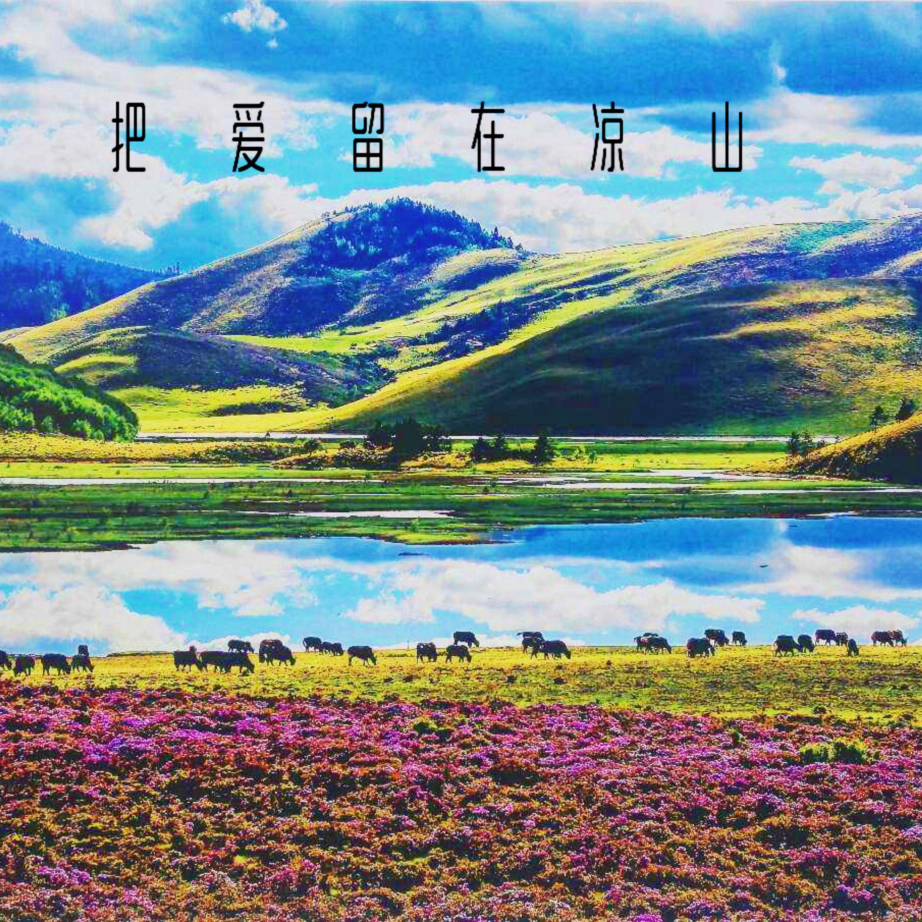 把爱留在凉山 （Gr33nart Beats）封面