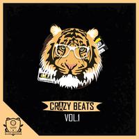 Crazy Beats Vol. 1