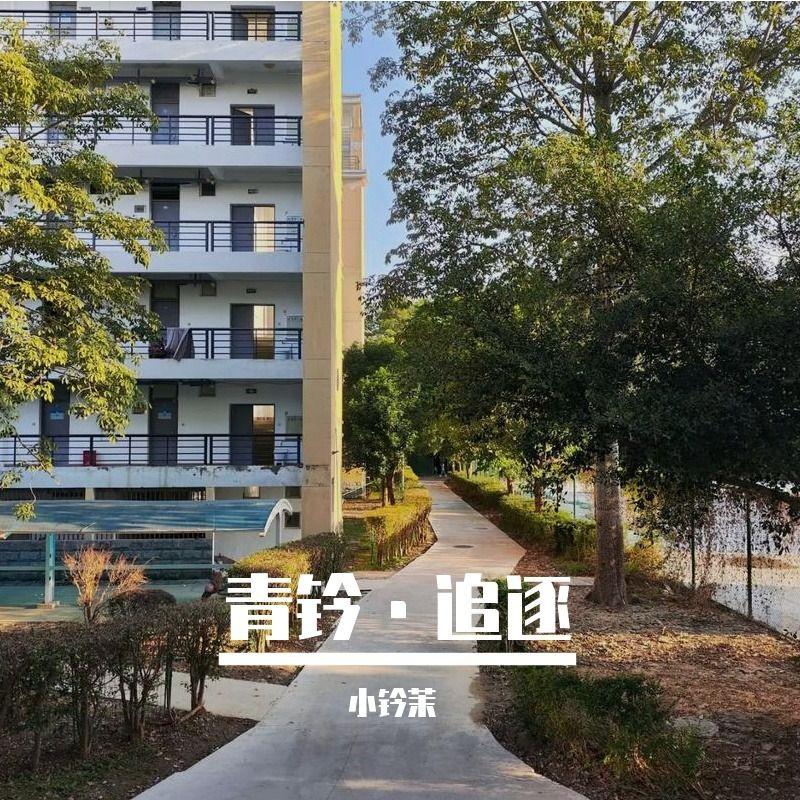 逐梦日demo 伴奏