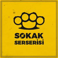 Sokak Serserisi