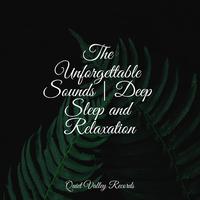 The Unforgettable Sounds | Deep Sleep and Relaxation For Dogs