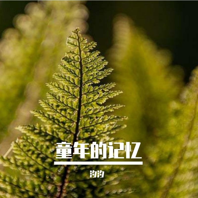 童年的记忆封面