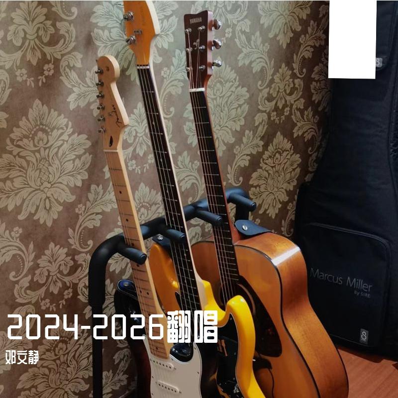 我们羞于表达的感情（女中音翻唱）封面