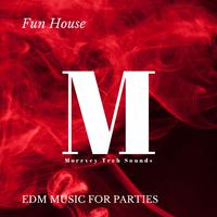 Fun House - EDM Music For Parties