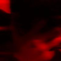 Excite资料,Excite最新歌曲,ExciteMV视频,Excite音乐专辑,Excite好听的歌
