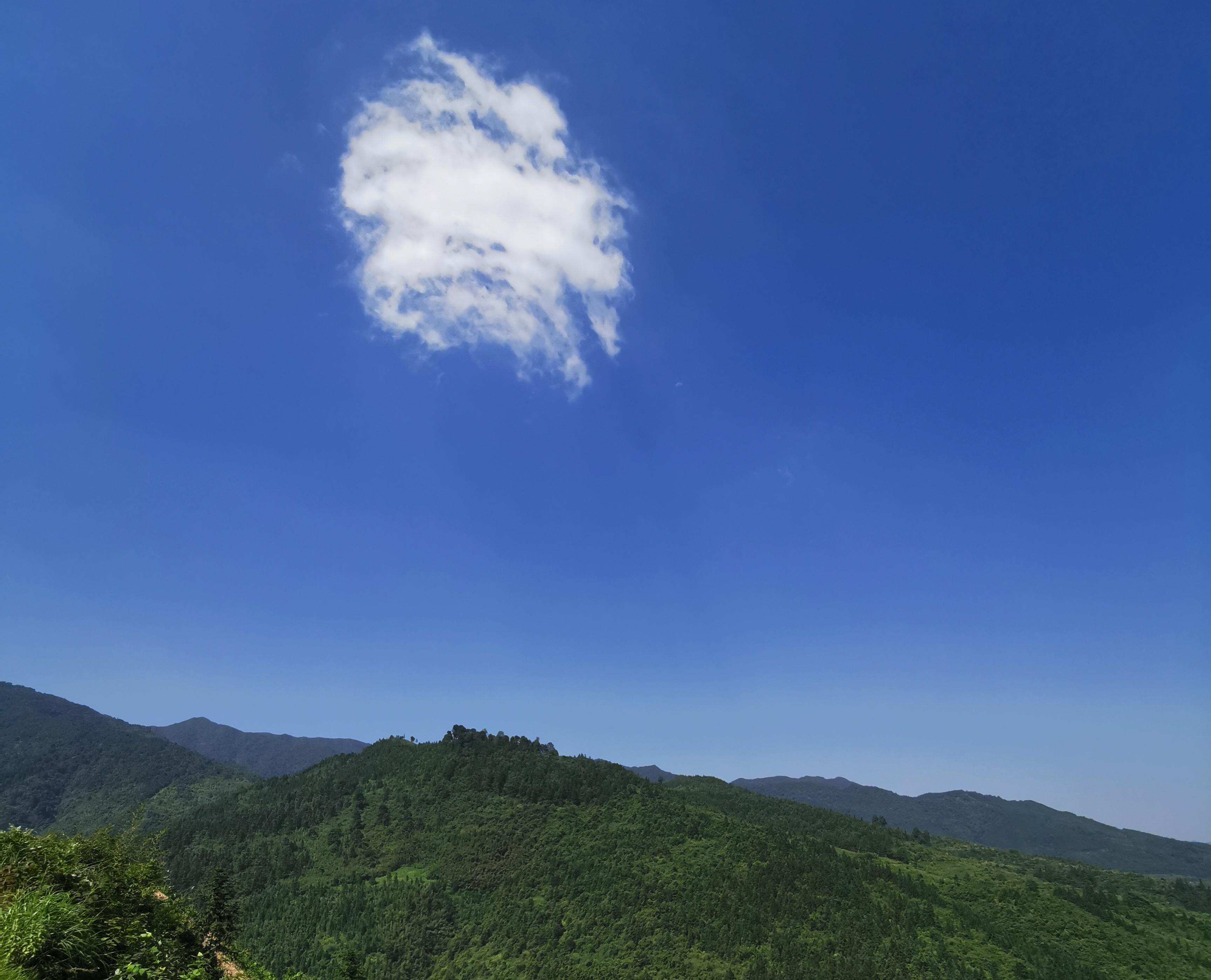 李文格