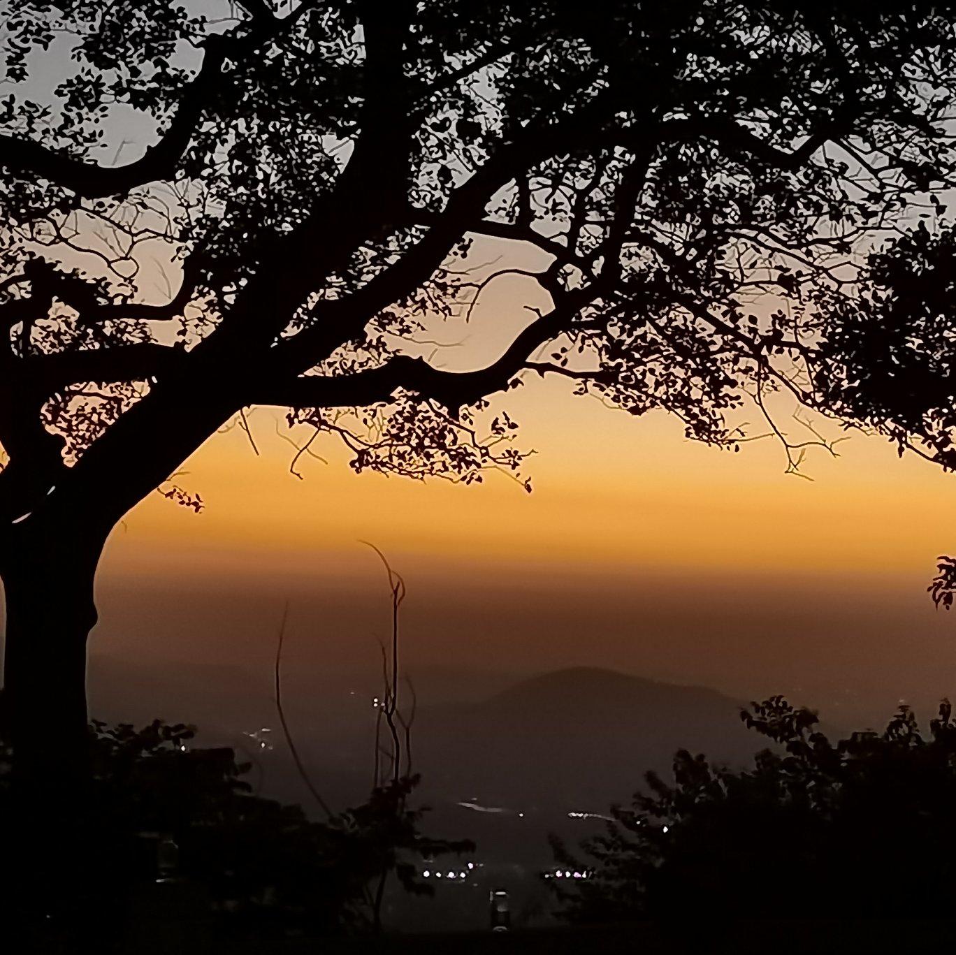 阿娜尔罕(Anarhan)