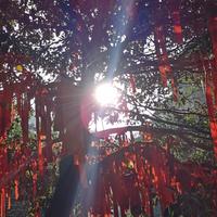 清欢渡资料,清欢渡最新歌曲,清欢渡MV视频,清欢渡音乐专辑,清欢渡好听的歌