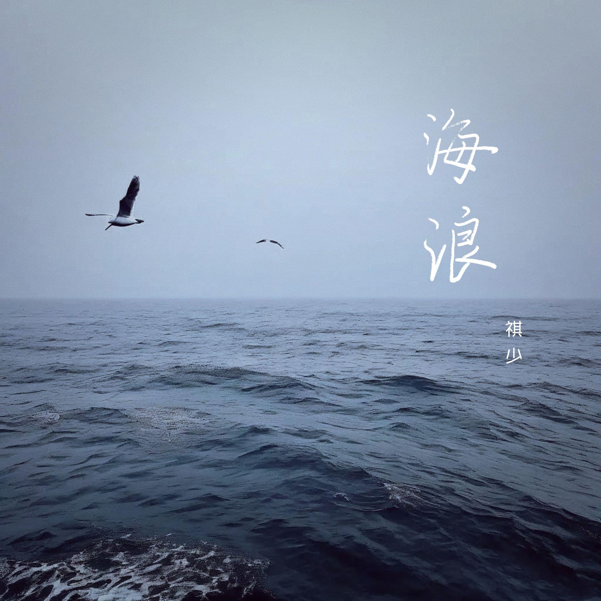 海浪 伴奏封面