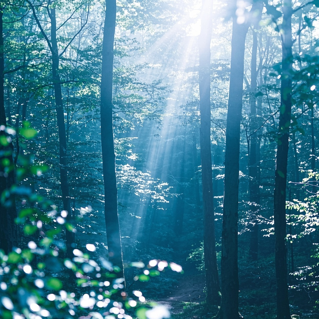 Lazy Afternoon Blues