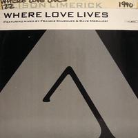 Dance Vault Mixes - Where Love Lives