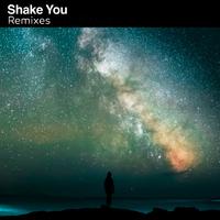 Shake You (Remixes)