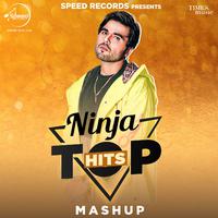 Ninja Top Hits (Mashup)