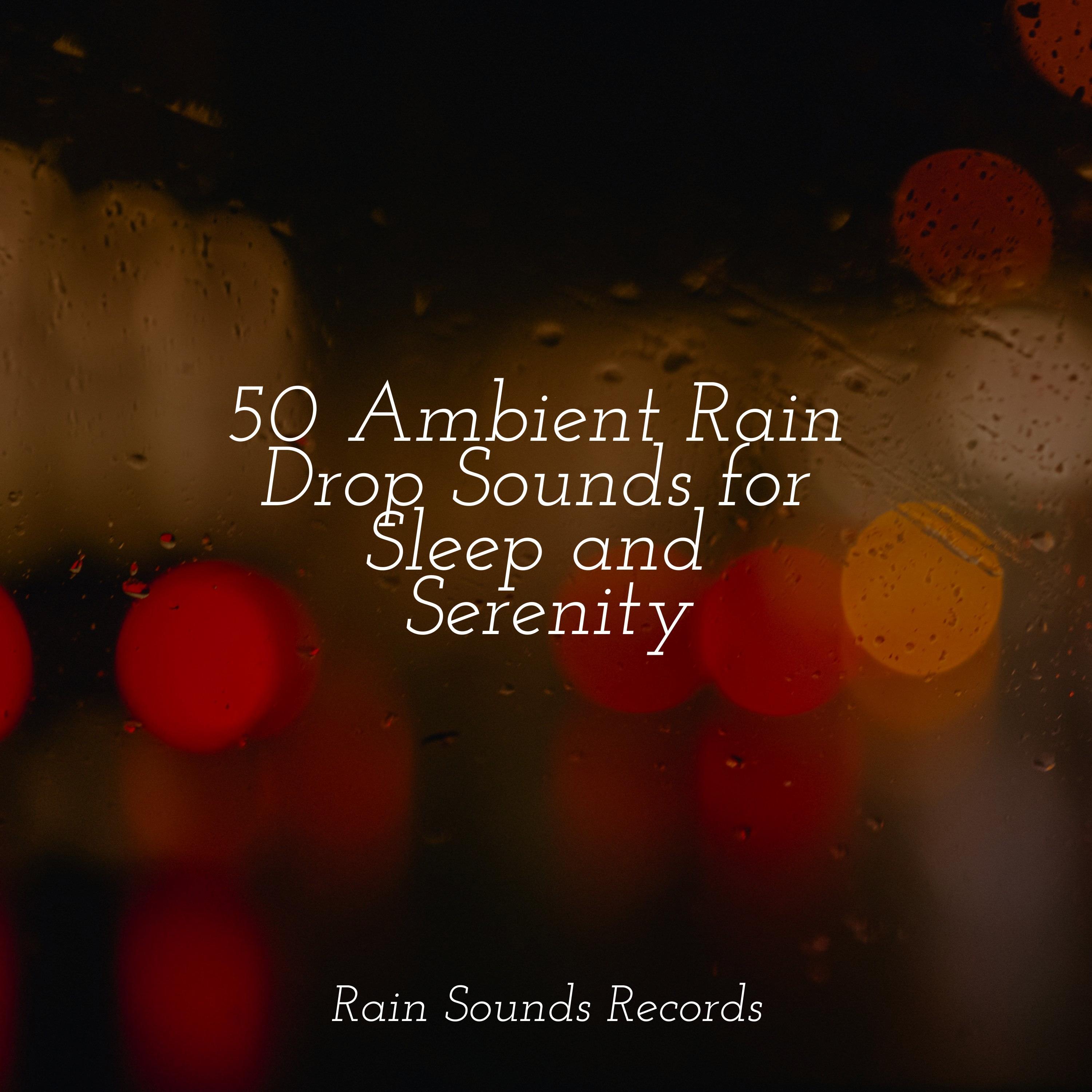 50 Ambient Rain Drop Sounds for Sleep and Serenity - Meeresrauschen ...