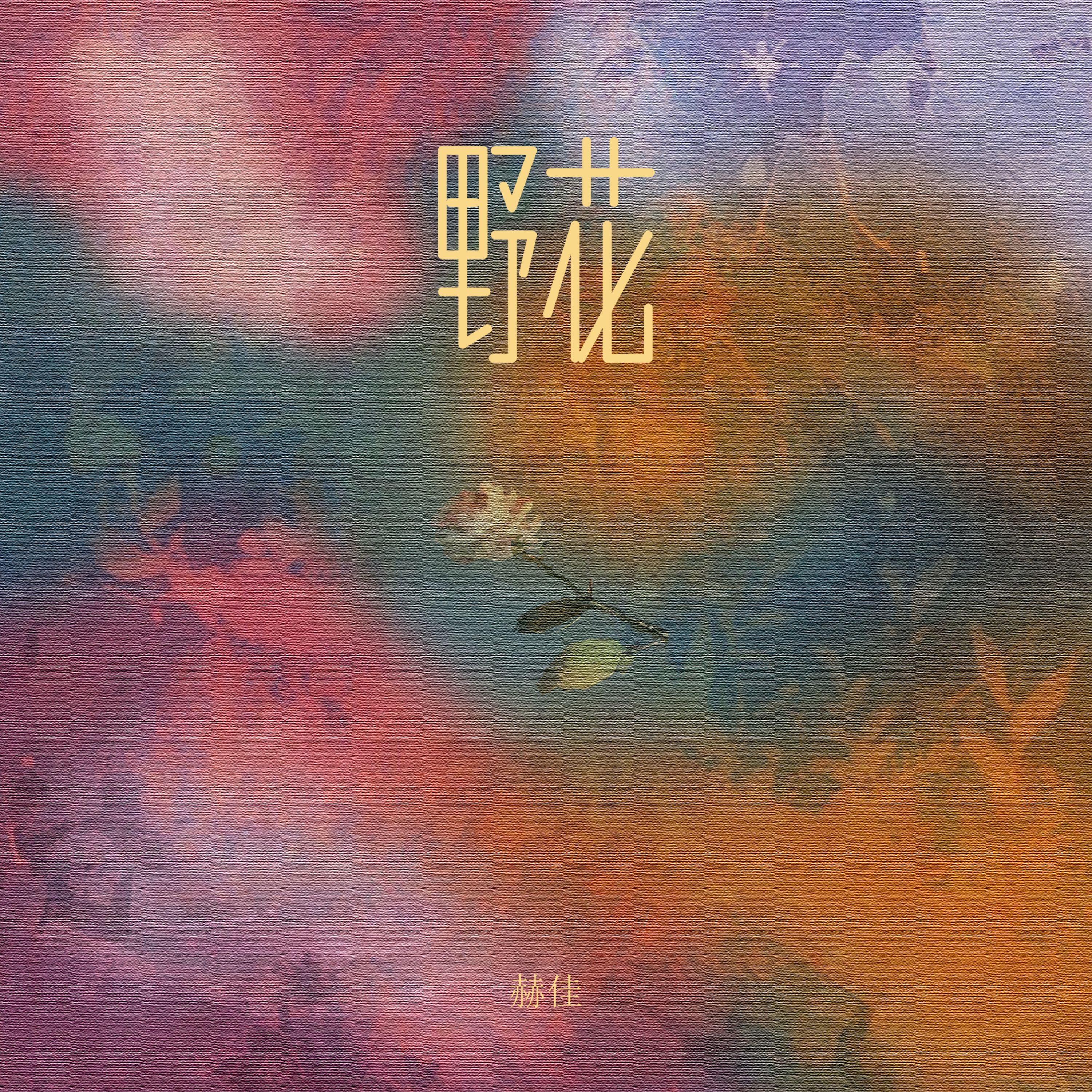 野花 (伴奏)封面