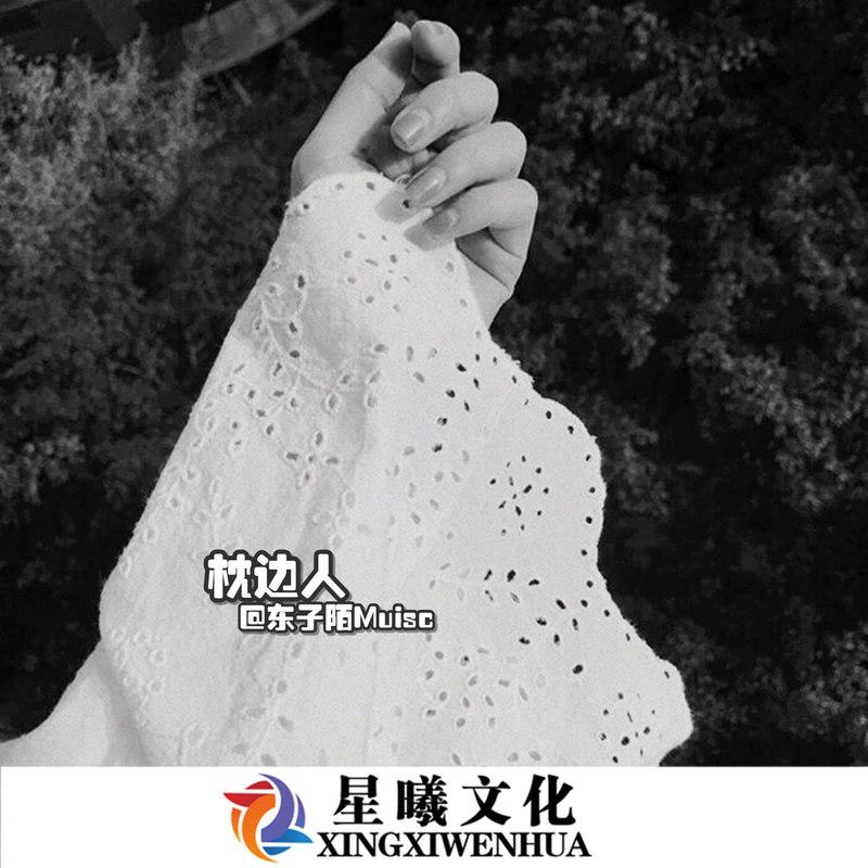 不过是大梦一场空 (DJ版)封面