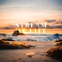 Stream Of Life