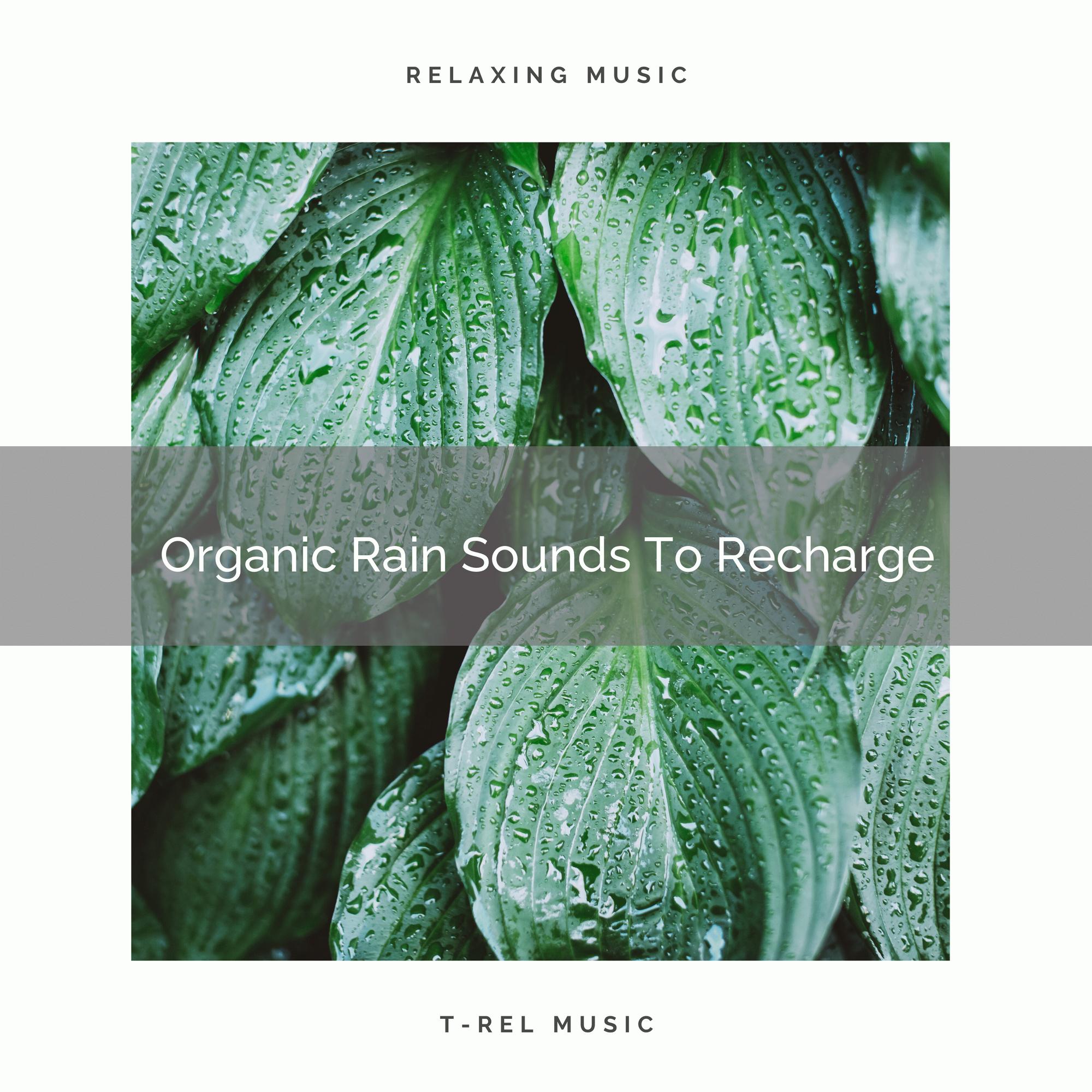 Stress Relieving Water Tones To Rest