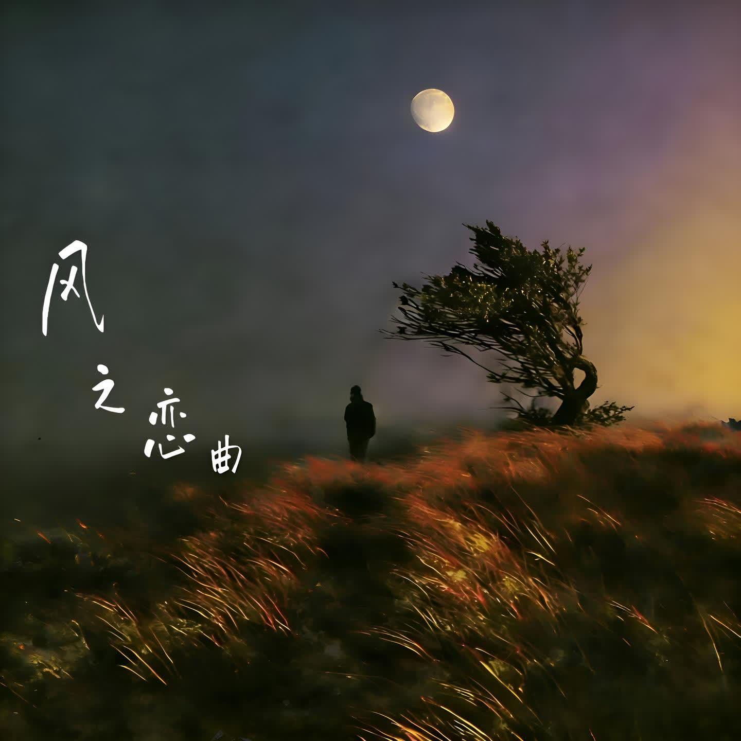 风之恋曲封面