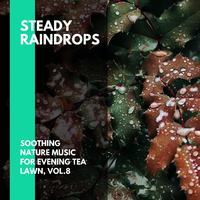 Steady Raindrops - Soothing Nature Music for Evening Tea Lawn, Vol.8