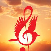 The Blue Jay Sessions