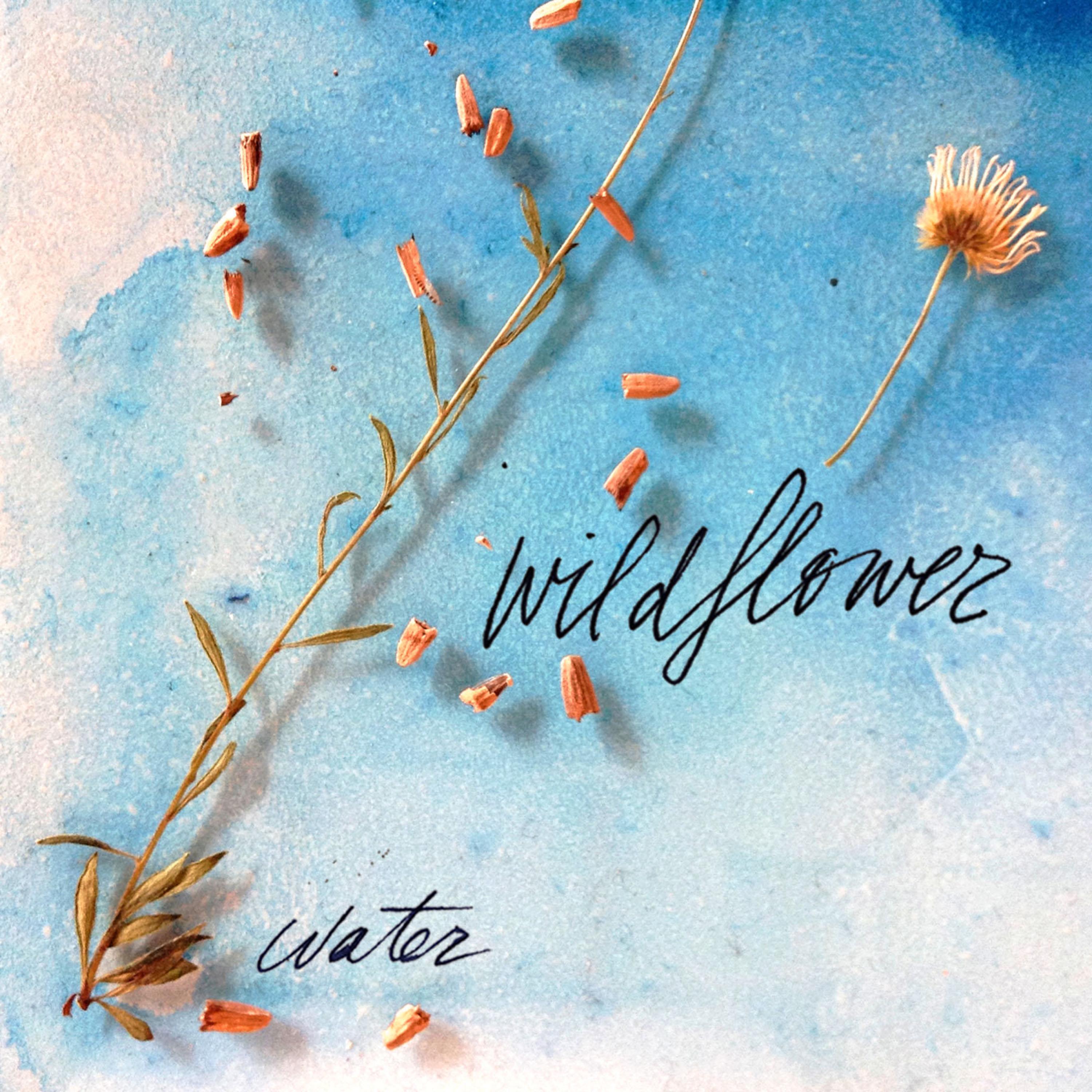 bubbles (wildflower)