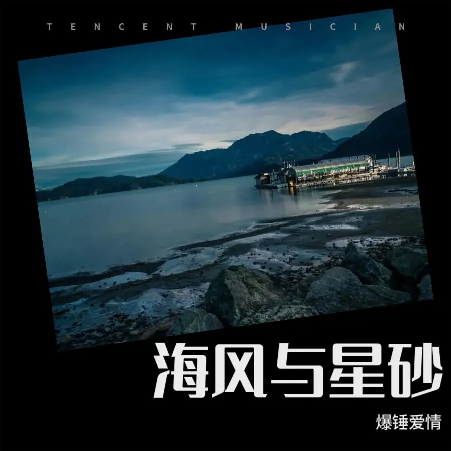 候鸟的北纬 - 爆锤爱情封面