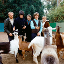 The Beach Boys