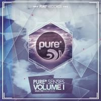 Pure* Senses - Selected Soulfood, Vol. 1