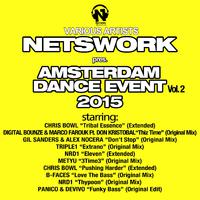 Netswork Presents ADE 2015, Vol. 2