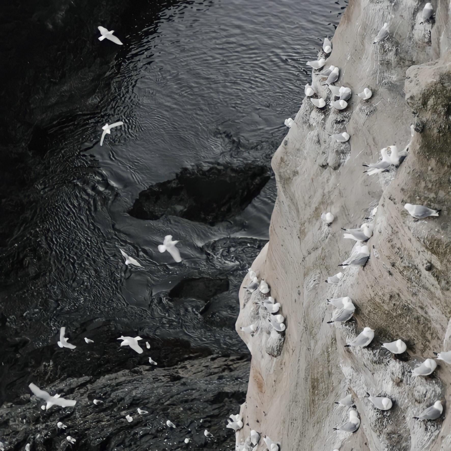 Shores (feat. Moonessa) Slowed