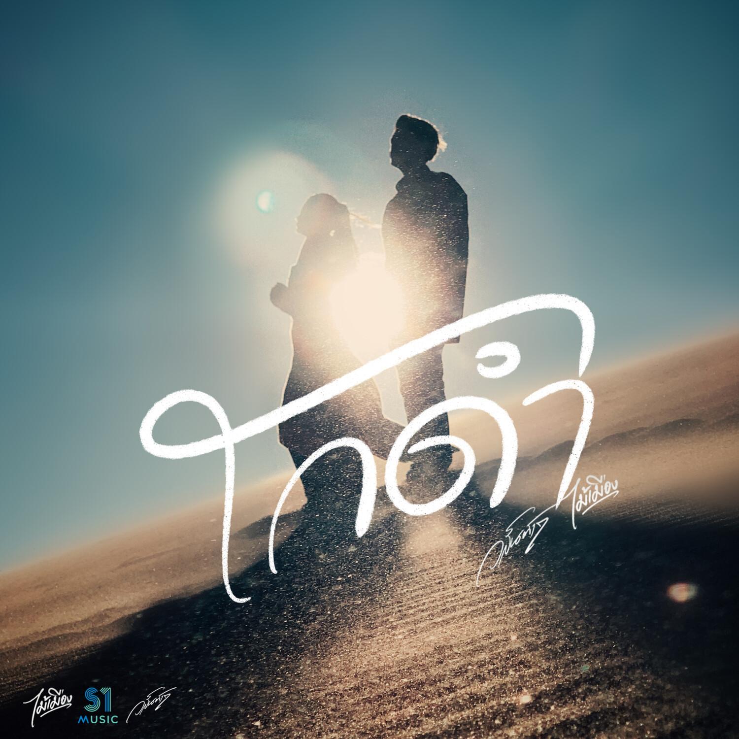 โกดำ - วสันต์17、ไม้เมือง封面