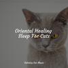 Jazz Music for Cats - Mindful Waters