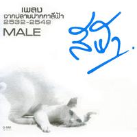 รวมเพลงจากปลายปากกาสีฟ้า MALE