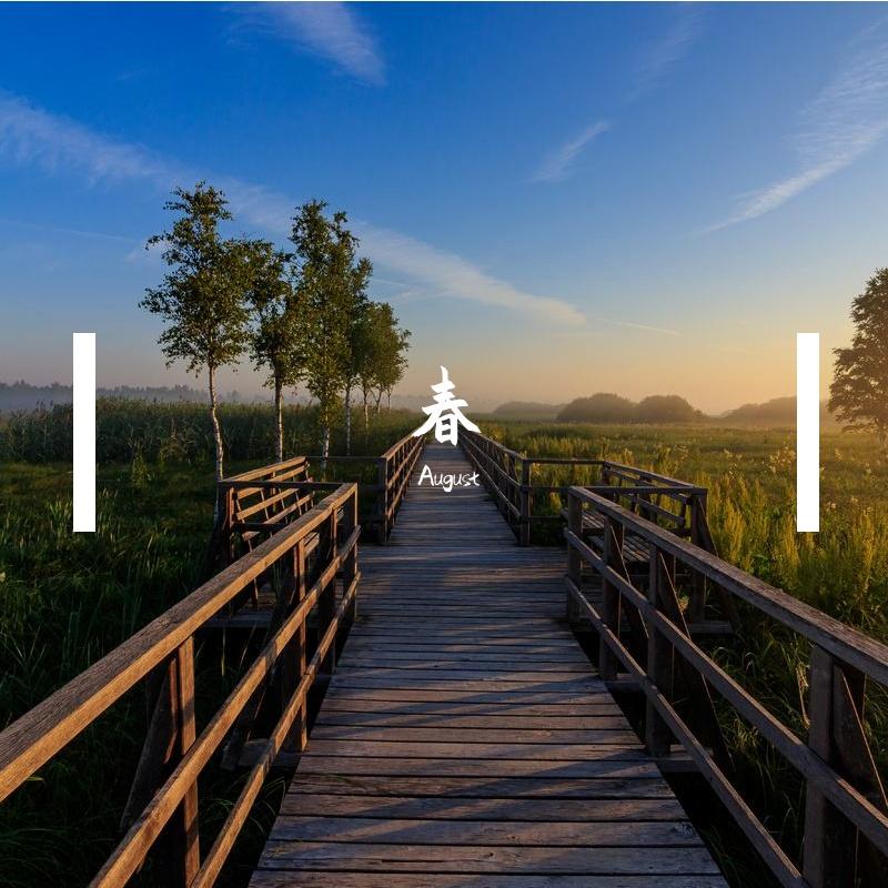 花开自暖春（黑历史，慎听）