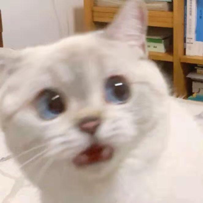 重口味封面