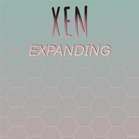 Xen Expanding